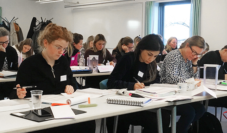 ACE Aktivitets Centreret Ergoterapi